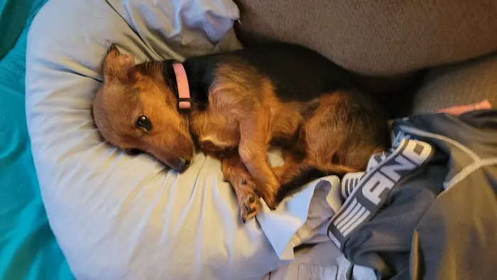 Kiel Veterinary Clinic Picture 2