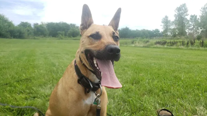 Kiel Veterinary Clinic Picture 5