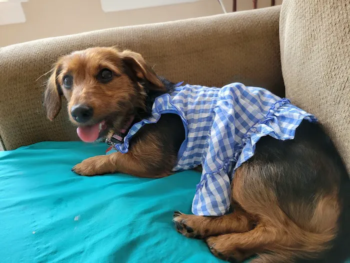 Kiel Veterinary Clinic Picture 3