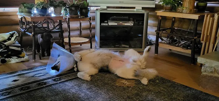 Kiel Veterinary Clinic Picture 4