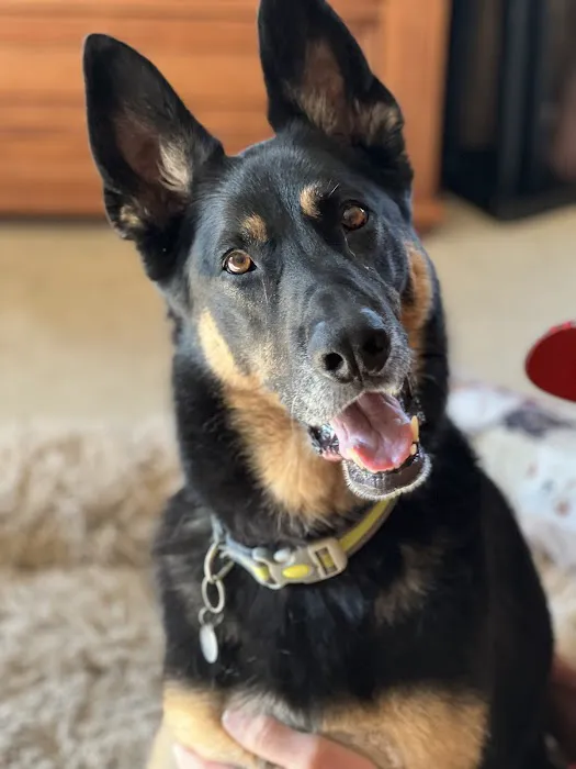 Kiel Veterinary Clinic Picture 6