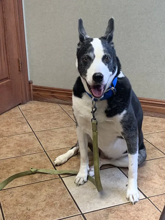 Kiel Veterinary Clinic Picture 7