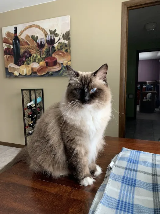 Kiel Veterinary Clinic Picture 8