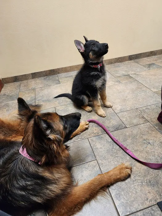 Healthy Paws Veterinary Clinic Picture 4