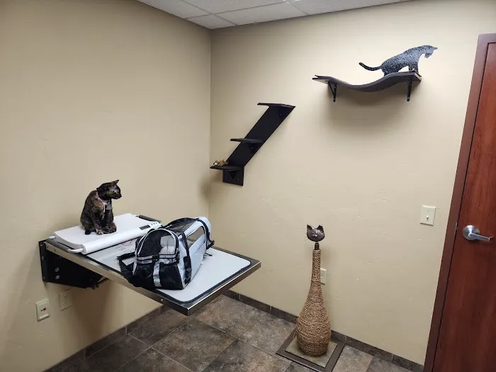 Healthy Paws Veterinary Clinic Picture 7