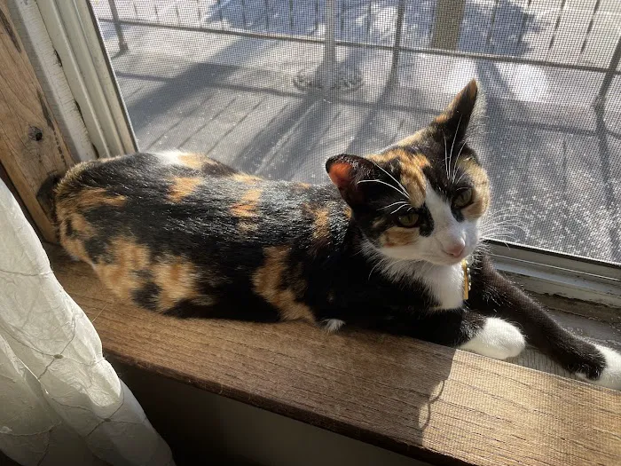 Healthy Paws Veterinary Clinic Picture 8