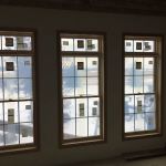 Lake To Lake Veterinary Chiro