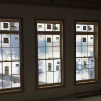 Lake To Lake Veterinary Chiro ico