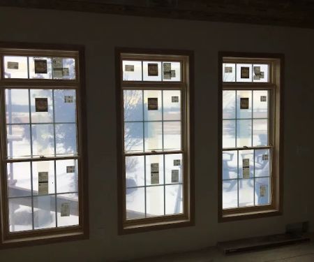 Lake To Lake Veterinary Chiro