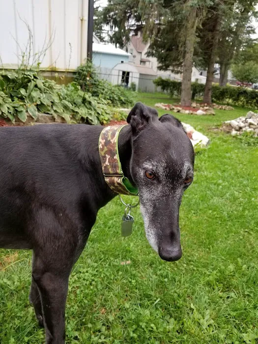 Fredonia Veterinary Clinic Picture 2