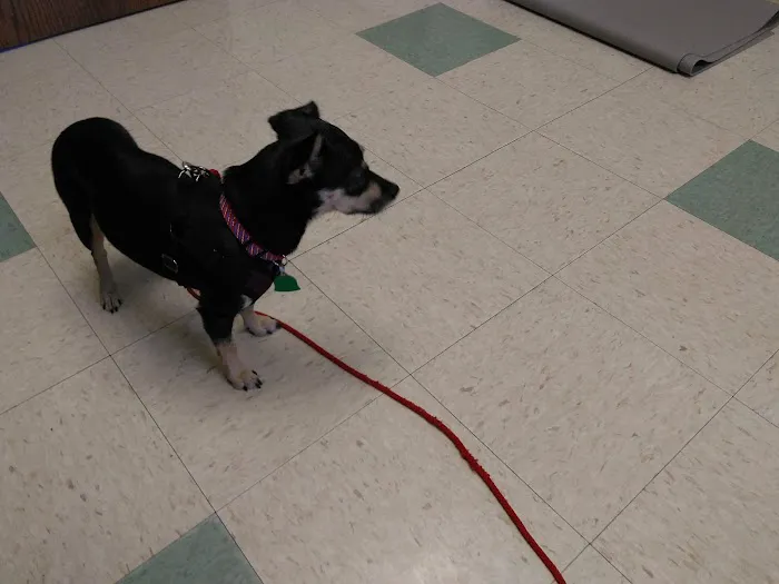 Fredonia Veterinary Clinic Picture 1