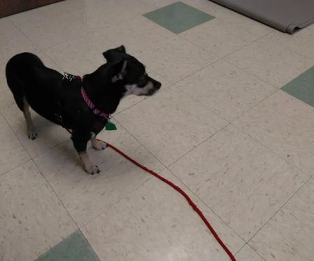 Fredonia Veterinary Clinic