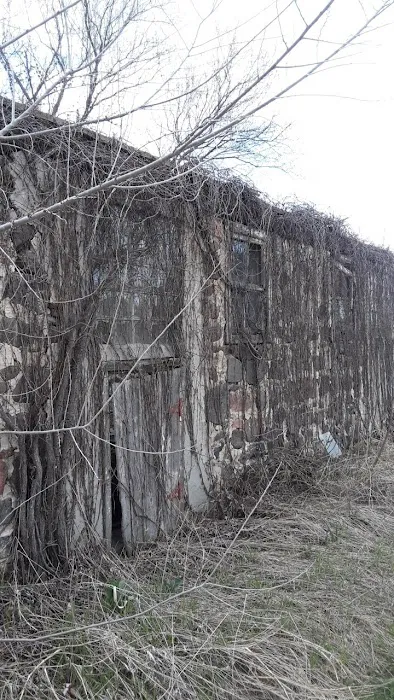 Fredonia Veterinary Clinic Picture 5