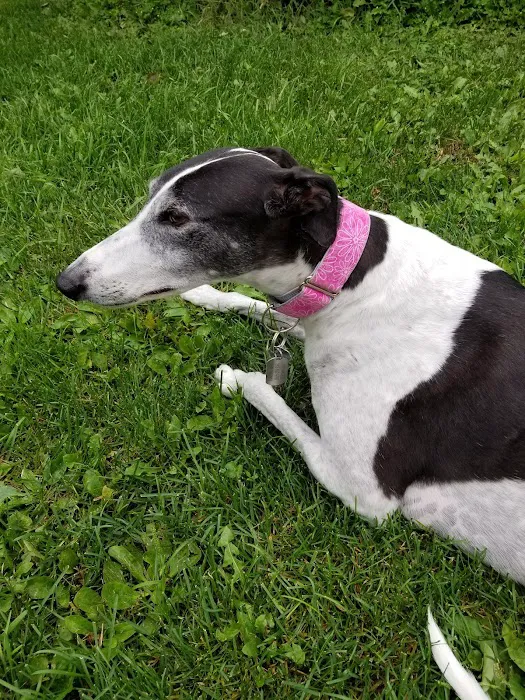 Fredonia Veterinary Clinic Picture 4