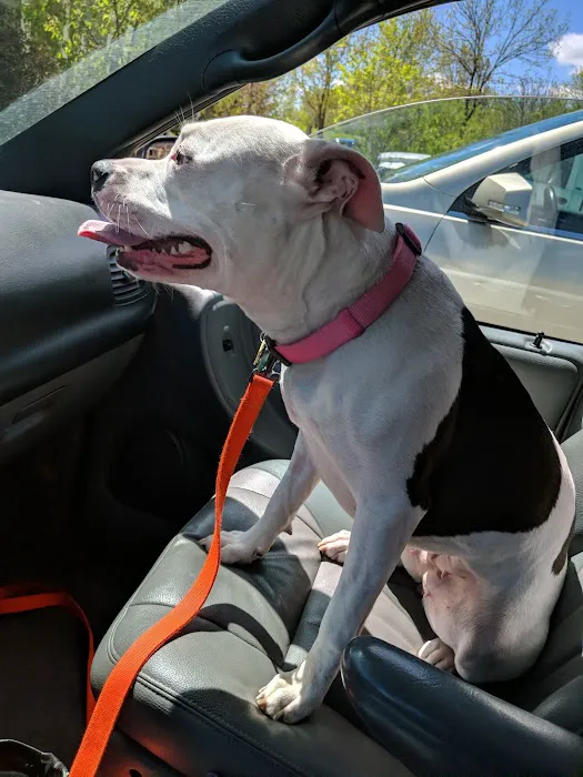 Fredonia Veterinary Clinic Picture 9