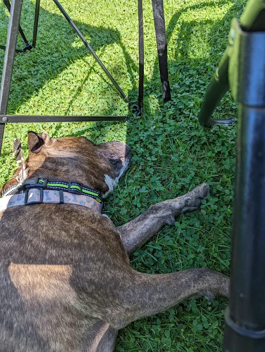 Fredonia Veterinary Clinic Picture 8