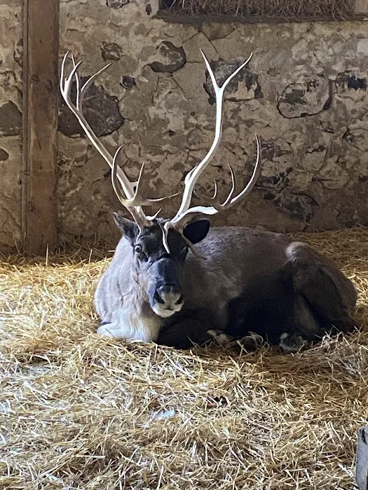 Cedar Grove Veterinary Services Picture 4