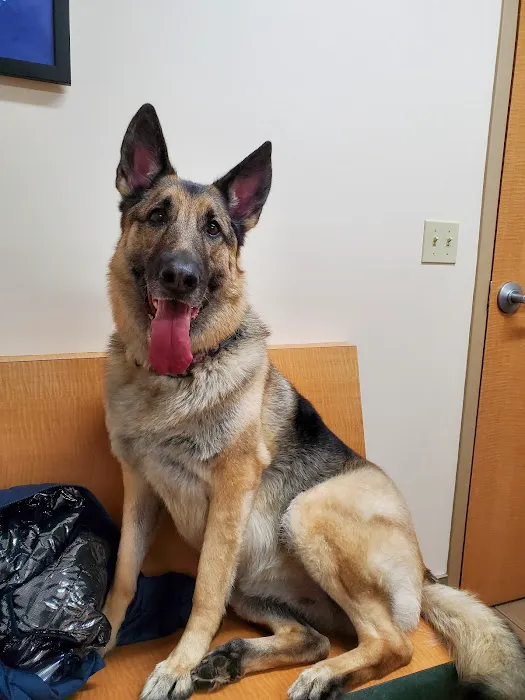 Cedar Grove Veterinary Services Picture 2