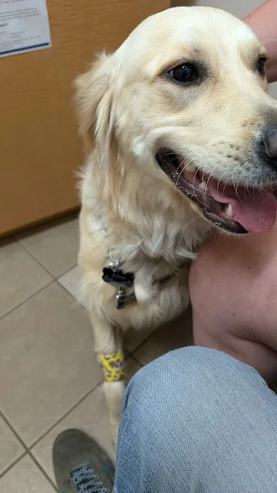 Cedar Grove Veterinary Services Picture 1