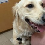 Cedar Grove Veterinary Services