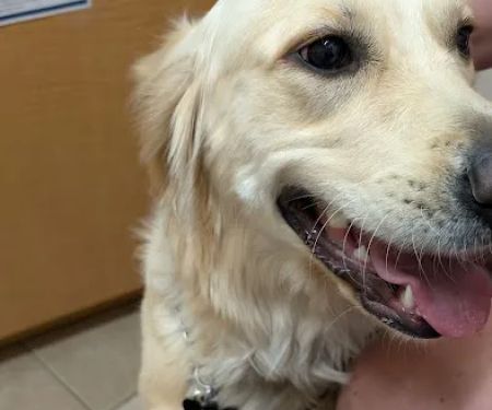 Cedar Grove Veterinary Services