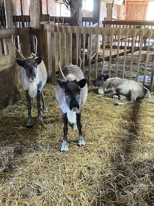 Cedar Grove Veterinary Services Picture 3