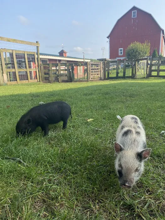 Cedar Grove Veterinary Services Picture 5