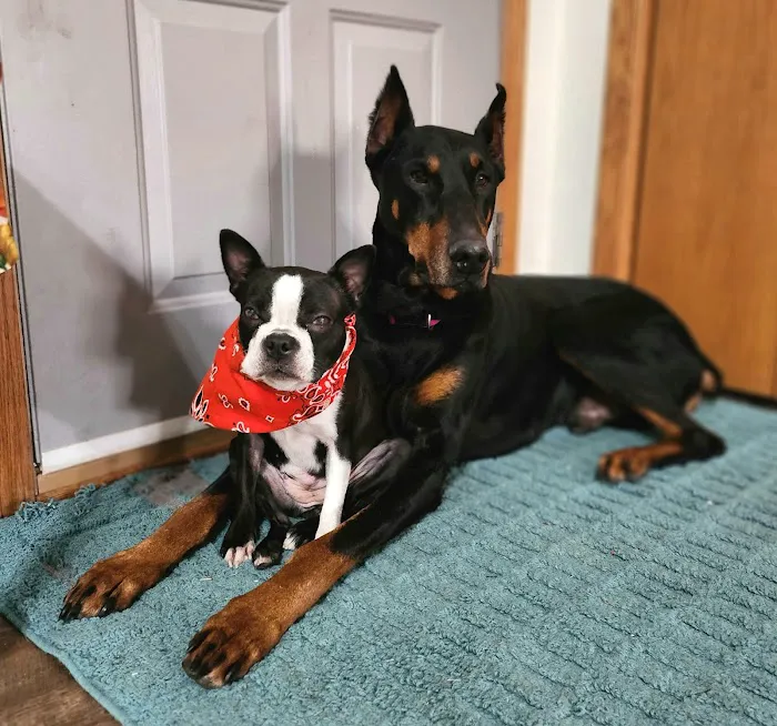 Cedar Grove Veterinary Services Picture 8