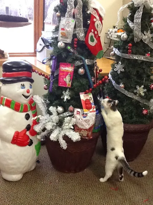 Cedar Grove Veterinary Services Picture 7