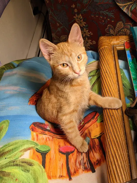 Cedar Grove Veterinary Services Picture 6