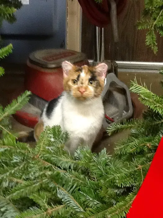 Cedar Grove Veterinary Services Picture 10