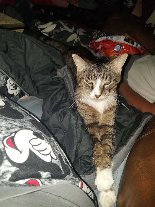 Saukville Veterinary Clinic: Hinz Jennifer DVM Picture 1