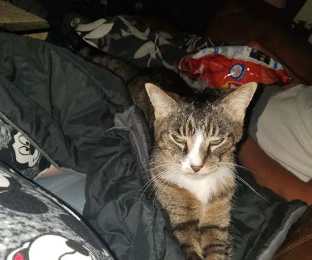 Saukville Veterinary Clinic: Hinz Jennifer DVM