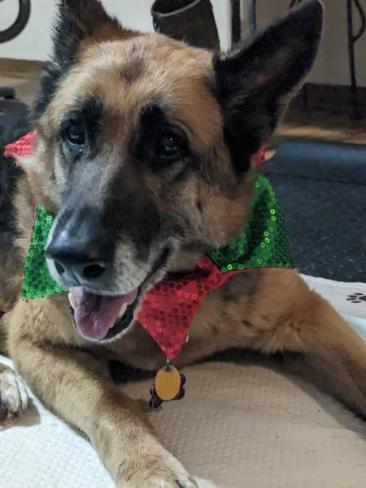 VCA Saukville Animal Hospital Picture 4