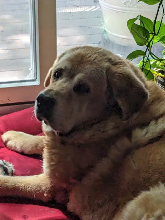 VCA Saukville Animal Hospital Picture 3