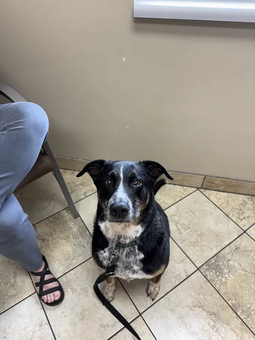 VCA Saukville Animal Hospital Picture 2