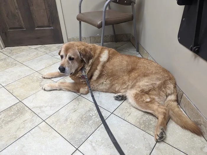 VCA Saukville Animal Hospital Picture 7