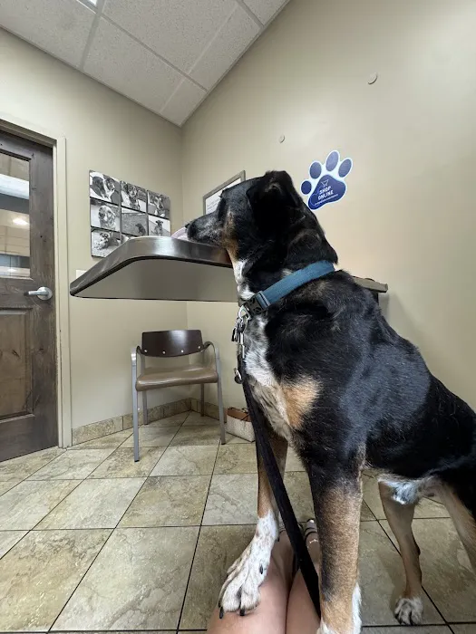 VCA Saukville Animal Hospital Picture 5