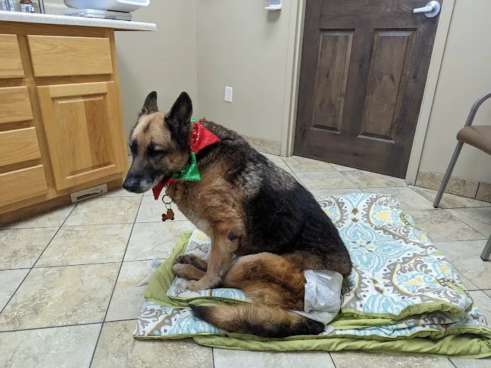 VCA Saukville Animal Hospital Picture 8