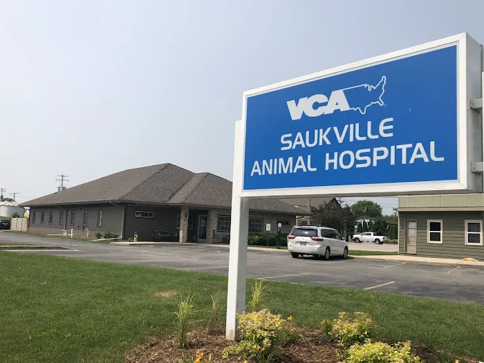 VCA Saukville Animal Hospital Picture 10