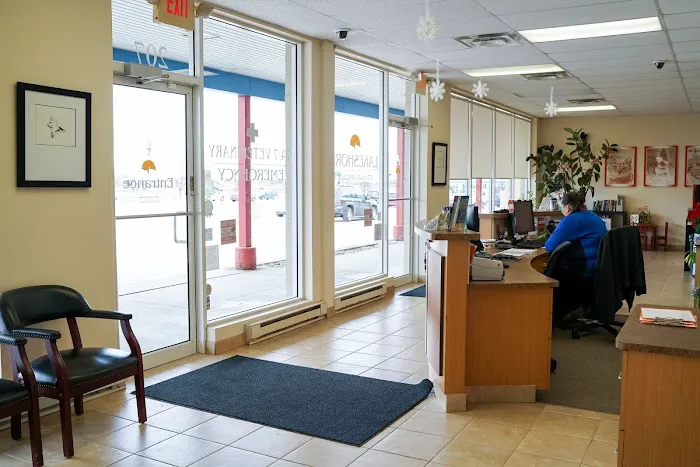 BluePearl Pet Hospital Picture 2