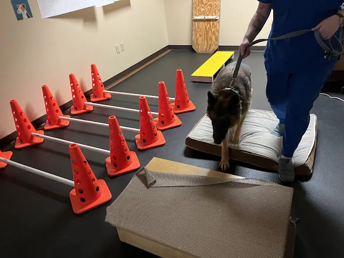 BluePearl Pet Hospital Picture 7