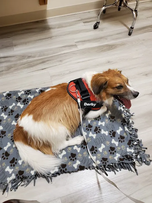 BluePearl Pet Hospital Picture 9