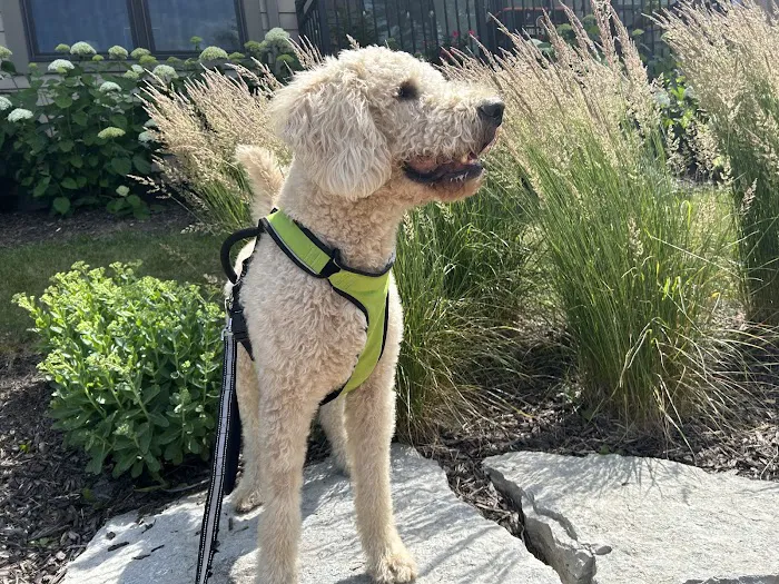 BluePearl Pet Hospital Picture 10