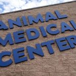 Animal Medical Center
