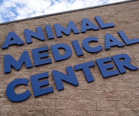 Animal Medical Center