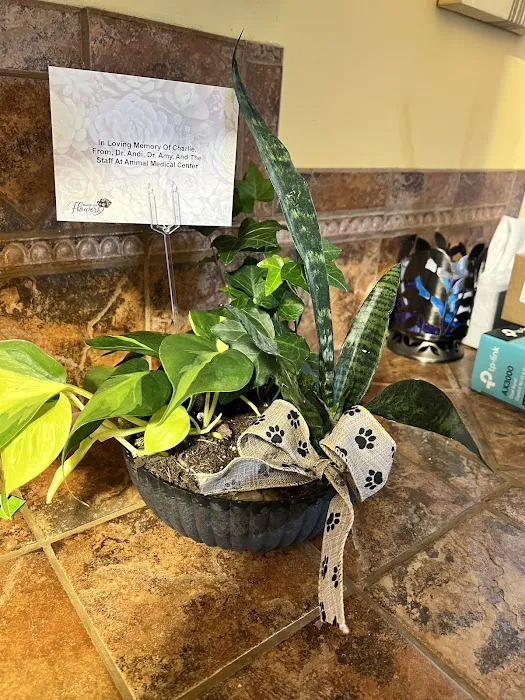 Animal Medical Center Picture 5