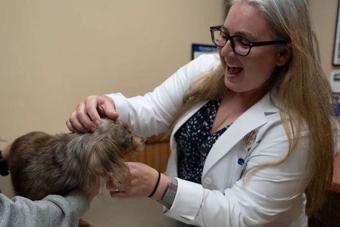 Animal Medical Center Picture 7