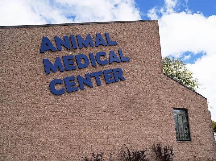 Animal Medical Center Picture 10