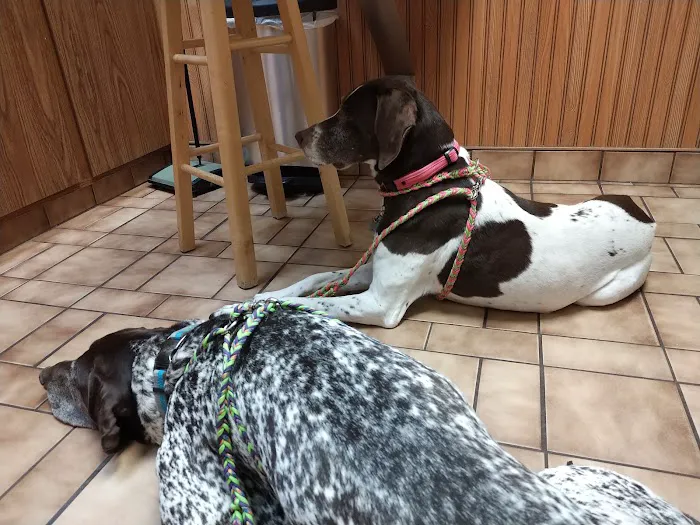 Animal Medical Center Picture 8